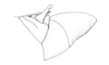 Ronderosia malloi (Liebermann, 1966): Fig. 4K. male, abdomen tip, lateral view. (Otu).