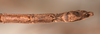 CollectionObject 1559963; 5403bf9f-7eb5-4fc7-89cb-4994d6299192: copyright OUMNH. male: end of abdomen, ventral view of synonym Lonchodes steira (holotype). (CollectionObject).