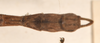 CollectionObject 1559679; 03404040-4875-4a90-9049-33fc2e48c2d8: copyright OUMNH. male: end of abdomen, dorsal view (holotype). (CollectionObject).