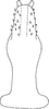 Aedeagus, ventral view: dorsal view. (Observation).