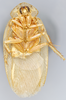 CollectionObject 1571750; c7038115-eae2-496a-8af3-8003cab61afb: Holotype, adult male, ventral habitus, Photo by Heidi Hopkins. (CollectionObject).