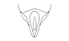 Megacheilacris bullifemur bullifemur (Descamps & Amédégnato, 1971): Fig. 101. male, apex of sub-genital plate, ventro-apical view. (Otu).