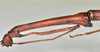 CollectionObject 1561664; NTUC 709, de4ff78e-e94d-4e85-8b94-37b567dfe607: copyright NTUC. female: head and thorax, dorsal view (holotype). (CollectionObject).