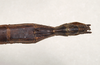 CollectionObject 1560484; f6603ba9-6a6d-4e43-8072-c0f24cf37d24: copyright Natural History Museum, London. female: end of abdomen, dorsal view (paralectotype). (CollectionObject).
