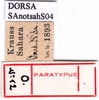 CollectionObject 1502322; 78262cea-11b5-4ba6-ae80-01b1edd90c6b, DORSA SAnotsahS04: labels (syntype). (CollectionObject).