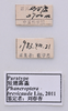 CollectionObject 1566230; a39a468f-3782-4f14-b3d1-f3991de97d0f: labels (paratype). (CollectionObject).
