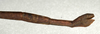 CollectionObject 1559468; 8a2ff06a-1cb6-40b6-b158-ef9de67ab8d3: copyright NMW, Vienna. female: end of abdomen, lateral view of Dixippus imitator (lectotype). (CollectionObject).;CollectionObject 1559469; 8495945e-a007-4390-81ef-b757614bae22: copyright NMW, Vienna. female: end of abdomen, lateral view of Dixippus imitator (lectotype). (CollectionObject).