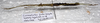 CollectionObject 1584556; 0ea350a7-1423-4907-8e9b-ab42d19e2a2a: (CollectionObject).