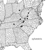Melanoplus sylvestris Morse, 1904: Geographic distribution. (Otu).