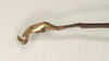 CollectionObject 1557022; NHMUK(SF IMPORT DUPLICATE) 844501, 7768f1ed-e210-4358-8bb3-8d93692ac372: copyright Natural History Museum, London. male: end of abdomen, lateral view (holotype). (CollectionObject).