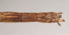 CollectionObject 1560490; faf21d13-87ac-4b01-993a-d203a4851e5e: copyright Natural History Museum, London. female: end of abdomen, ventral view (holotype). (CollectionObject).