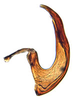 Aedeagus, lateral view on Arahura Knight, 1975: Arahura reticulata, aedeagus, laterally (BMNH). (Observation).