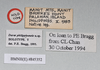 copyright Natural History Museum, London. female, data labels (holotype). Depicts CollectionObject 1558294; NHMUK(SF IMPORT DUPLICATE) 845352, c0abbad1-e9b3-4d34-a809-5486ccb41942, a CollectionObject.