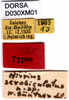 CollectionObject 1505159; 1e7f4e66-ea89-4338-b823-86a0d871d5c1, DORSA D030XM01: labels (allotype). (CollectionObject).