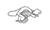 Trichopaon villosus Descamps & Amédégnato, 1972: Fig. 169. phallic complex, lateral view. (Otu).