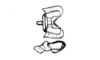 Intiacris nigroapiculatus Ronderos & Cigliano, 1989: Fig. 10. sheath of penis, dorsal and lateral view. (Otu).
