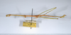 CollectionObject 1581293; 1a11edb2-714a-4fd7-9496-cb81bb855e5e: copyright ANSP. male, lateral view (paratype). (CollectionObject).;CollectionObject 1581294; f2acaebc-8a19-4437-8ef4-92d5a5730f9d: copyright ANSP. male, lateral view (paratype). (CollectionObject).