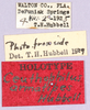 CollectionObject 1499227; 1951149e-50b3-4fe1-b3e7-517f89755f38: labels (holotype). (CollectionObject).