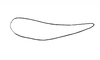 Digamacris amoena (Stål, 1878): Fig. 9. male cercus, lateral view. (Otu).