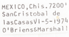 Other on Cixius (Pseudocixius) bandarus (Caldwell, 1950): (Observation).