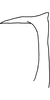 Stylus on Anufrievia subapicifixa Yang & Zhang, 2018: Stylus. (Observation).