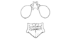 Heliastus rubellus Otte, 1984: Fig. 37B. head and pronotum. (Otu).