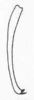 Docidocercus nigrescens (Brunner von Wattenwyl, 1895): Fig. 103. cercus (6 mm). (Otu).