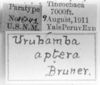 CollectionObject 1533815; c62716a0-a598-4d53-87e9-d7258ae957ff: Image Carbonell, C.S. labels (paratype). (CollectionObject).