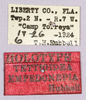 CollectionObject 1499367; c20e02f4-87ae-4527-bcae-79cad69f6932: labels (holotype). (CollectionObject).