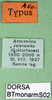 CollectionObject 1502676; 950b9be7-1fb7-43c1-ab2c-c6c28c3f40d1, DORSA BTmonarmS02: labels (syntype). (CollectionObject).