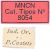 CollectionObject 1535690; 2379763f-65a6-4090-bb1b-bf481038acdf: labels (syntype). (CollectionObject).