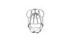 Zygoclistron trachystictum Rehn, 1905: Fig. 48. male, head, frontal view. (Otu).