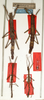 CollectionObject 1560747; NMW 905, 0d92d404-427f-4b51-b715-de9b941e512d: copyright NMW, Vienna. male of synonym Paramenexenus molestus (lectotype), male and female (paralectotypes). (CollectionObject).