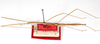 CollectionObject 1559318; 5318f452-c1cc-4d8b-ba89-4d4568f43735: copyright MNCH, Madrid. male (paralectotype). (CollectionObject).;CollectionObject 1559319; 4145f06e-6e37-4c0b-96c4-3380581d5a02: copyright MNCH, Madrid. male (paralectotype). (CollectionObject).