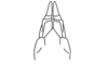 Zodiacris rubidipennis rubidipennis Descamps, 1980: Fig. 95. female abdomen tip, ventral view. (Otu).