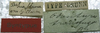 labels (syntype). Depicts CollectionObject 1506492; 3772b2ff-6e02-4040-8a40-608a1f5b2334, a CollectionObject.