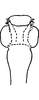 Aedeagus, ventral view: Aedeagus, ventral view. (Observation).