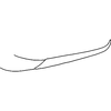 Pygofer appendages on Distantasca latibasis (Zhang & Liu, 2010): Pygofer process, lateral view. (Observation).
