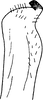 Stylus: !! display not done !! on Cnemidanomia lugubris (Lethierry, 1876): Stylus. (Observation).