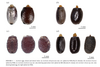 Anchiale Stål, 1875: eggs of Australian Anchiale species. (Otu).