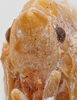 Head: (Observation).