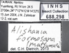 Other on Alishania formosana (Matsumura, 1914): Labels. (Observation).