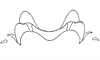 Baeacris talamancensis Rowell & Carbonell, 1977: Fig. 20. epiphallus, frontal view. (Otu).
