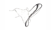 Baeacris peniana (Ronderos, 1992): Fig. 14. apex of aedeagus, lateral view. (Otu).