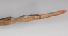 CollectionObject 1576634; 212bea82-7750-41b2-93b4-61e98d27c9c5: copyright FSCA. female: end of abdomen, dorsal view (paratype). (CollectionObject).