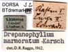 CollectionObject 1502887; fc3d4f6a-294d-42f2-ad8b-dcb2acb266b3: labels. (CollectionObject).