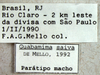 CollectionObject 1582268; 60993107-1285-4897-a87d-f6e10c098e78: label (paratype male). (CollectionObject).