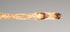 CollectionObject 1557439; NHMUK(SF IMPORT DUPLICATE) 844933, 69b7b286-4b53-43eb-bb86-58d460924cf1: copyright Natural History Museum, London. male: end of abdomen, ventral view (holotype). (CollectionObject).