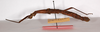 CollectionObject 1562383; bb24c673-e74e-40ee-93c7-fcfeacd4cacc: copyright ZMB, Berlin. female, lateral view (syntype). (CollectionObject).;CollectionObject 1562384; d3ae3f62-92cf-49f3-89af-34838899ffec: copyright ZMB, Berlin. female, lateral view (syntype). (CollectionObject).