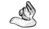Aucacris bullocki Rehn, 1943: Fig. 31. male, epiphallus, lateral view. (Otu).